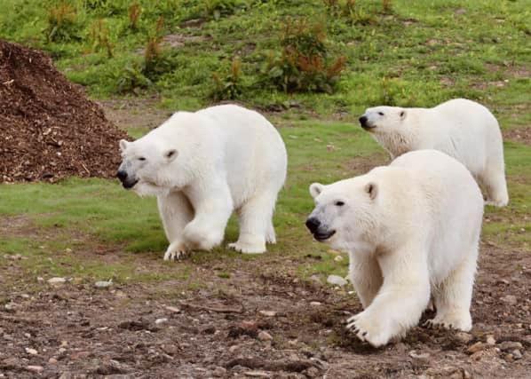 Chic 2 Bed Peak District Cottage Barn Near Alton Towers, Polar Bears, Chatsworth House Leek Eksteriør billede