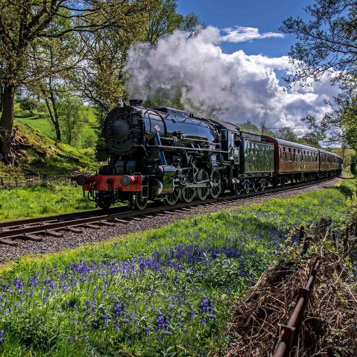 Chic 2 Bed Peak District Cottage Barn Near Alton Towers, Polar Bears, Chatsworth House Leek Eksteriør billede